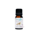 Huile essentielle Tea-Tree 10ml Eve Taylor